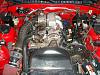came back-dsc00237.jpg