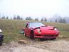 I Really HATE Deer-11.20.2009-006.jpg