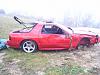 I Really HATE Deer-11.20.2009-010.jpg