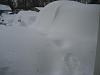 time of the year again-img_0522.jpg