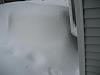 time of the year again-img_0523.jpg