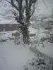 time of the year again-p_00337.jpg
