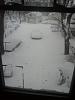 time of the year again-p_00338.jpg
