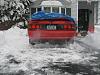 time of the year again-img_0527.jpg