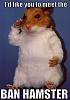 How do you represent your rotary pride?-banhampster.jpg