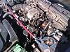 Post pics of your engine bay-2010-08-30-16.19.46.jpg