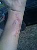 my prey, muahahaha-img_0384.jpg