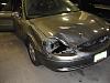 deer attack 2011-dead-deer.jpg