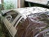its a damn shame-delorean6.jpg
