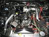 Post pics of your engine bay-153.jpg