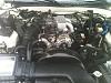 Post pics of your engine bay-clean_enginebay2_2013.jpg