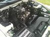 Post pics of your engine bay-clean_enginebay3_2013.jpg