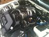 Post pics of your engine bay-clean_enginebay4_2013.jpg