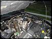 Post pics of your engine bay-rx7_rside_engine_compartment.jpg