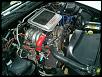 Post pics of your engine bay-1558401_10152142591258666_1893617375_n.jpg