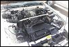 Post pics of your engine bay-91rx7eng.jpg