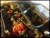 Post pics of your engine bay-image-1267491062.jpg