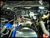 Post pics of your engine bay-wp_000106.jpg