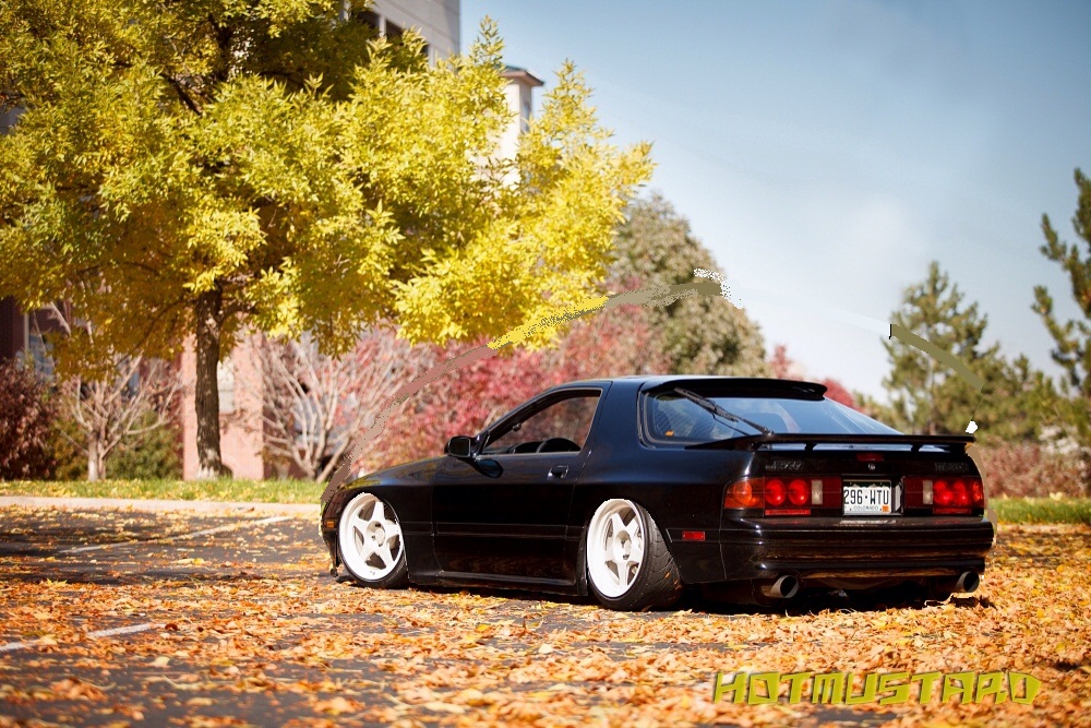 Name:  wer_zpsa6e3e8d5.jpg
Views: 317
Size:  329.9 KB