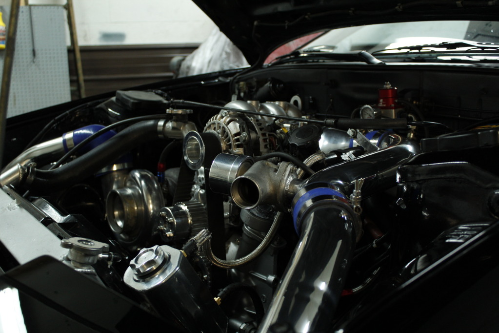 Name:  _MG_3602.jpg
Views: 279
Size:  171.3 KB