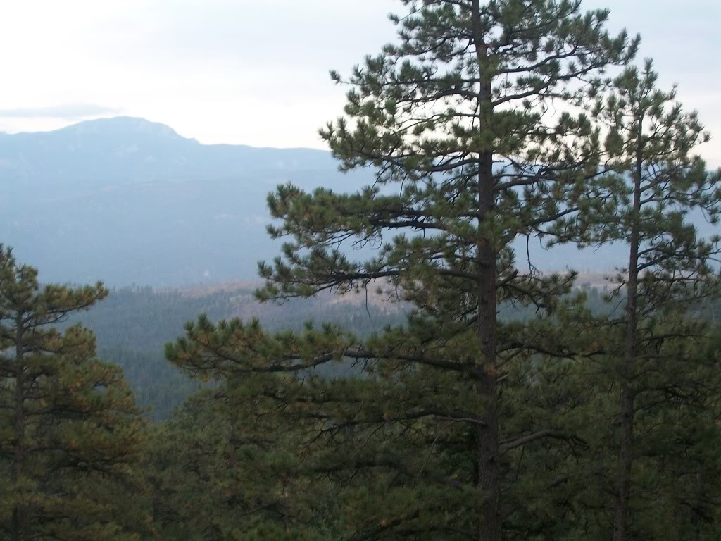 Name: 100_1568.jpg
Views: 129
Size: 159.2 KB