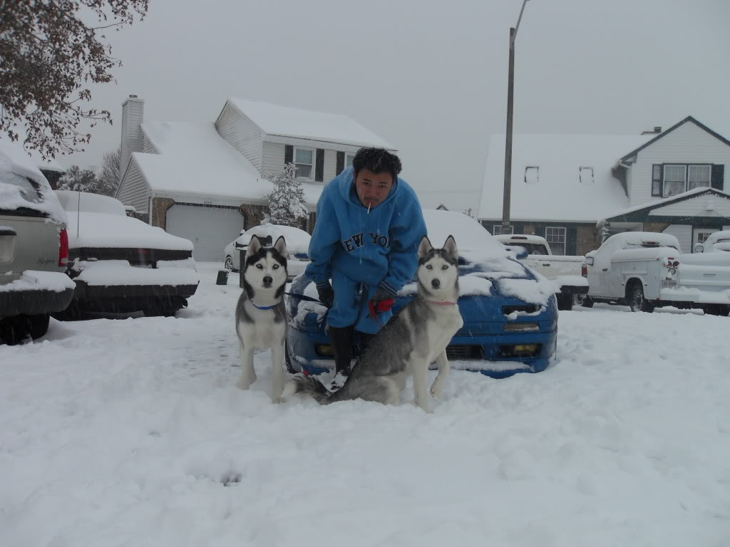 Name: SDC19224.jpg
Views: 121
Size: 84.1 KB