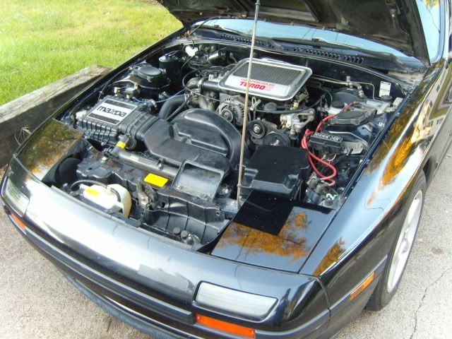 Name: S1030972.jpg
Views: 463
Size: 141.0 KB