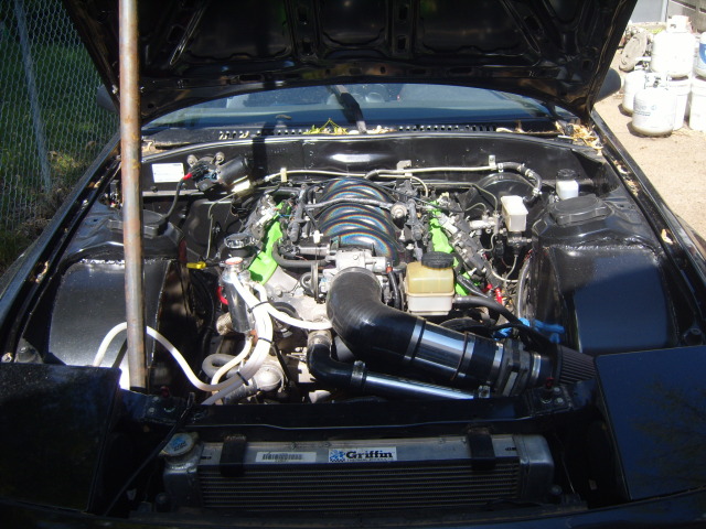 Name: S1031529.jpg
Views: 472
Size: 118.4 KB
