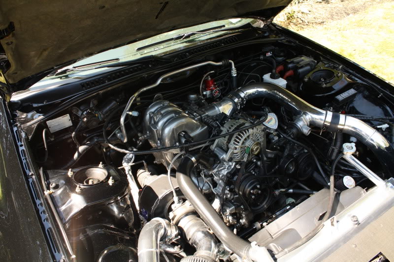 Name:  IMG_4961.jpg
Views: 372
Size:  138.6 KB