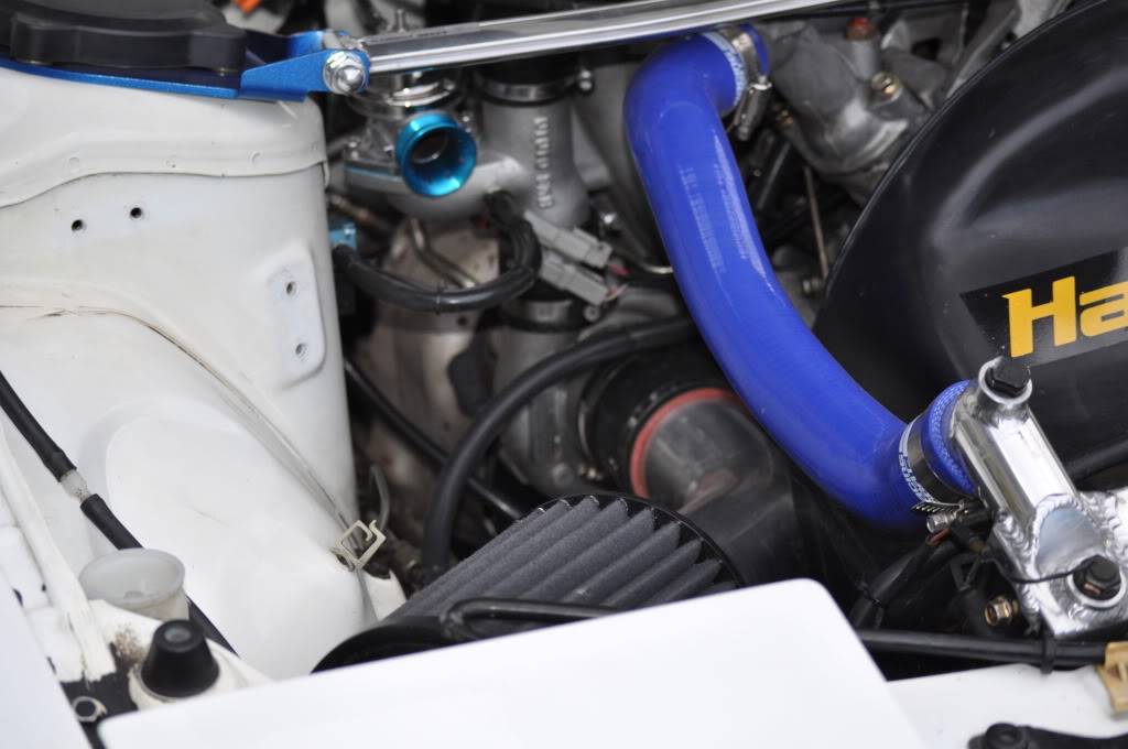 Name:  newpics104.jpg
Views: 331
Size:  112.3 KB