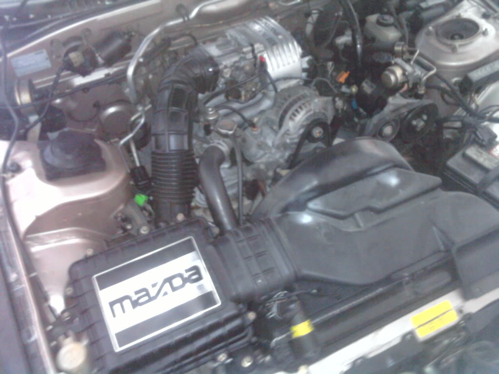 Name:  2010-10-05133441.jpg
Views: 290
Size:  121.2 KB