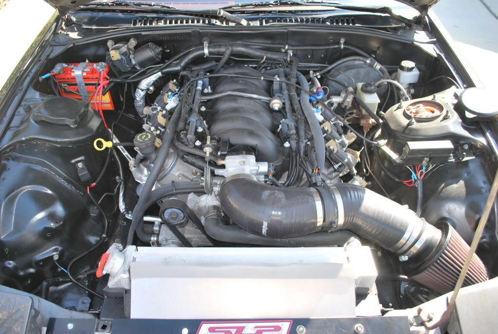 Name:  DSC_0017-11.jpg
Views: 354
Size:  156.5 KB