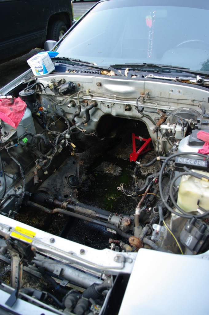 Name:  IMGP5477.jpg
Views: 265
Size:  136.7 KB