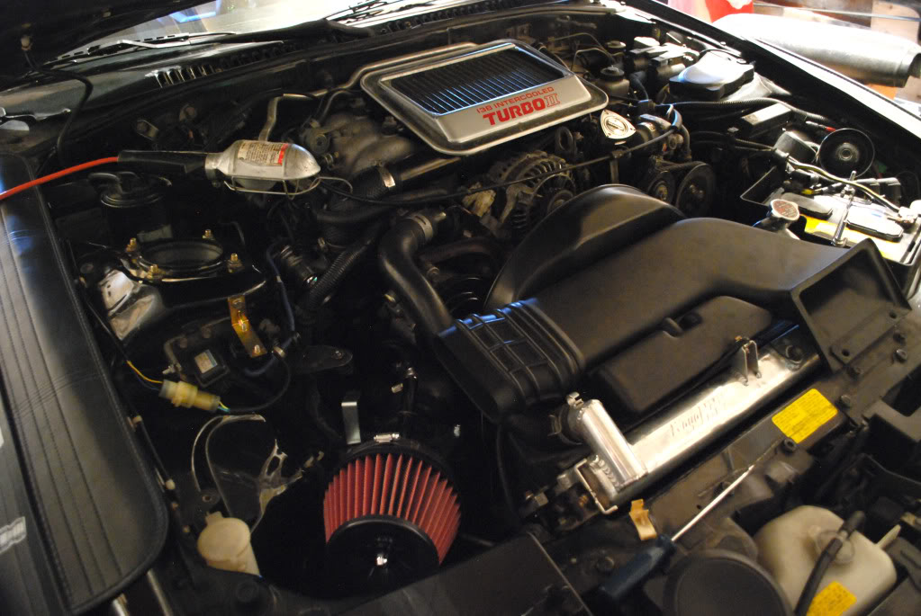 Name:  DSC_0194.jpg
Views: 532
Size:  129.7 KB