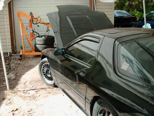 Name:  PICT0245-1.jpg
Views: 1495
Size:  74.1 KB