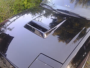 Custom big mouth hood scoop-396iaff.jpg