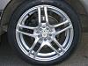 New Rims on the Rex!!!-rims0002.jpg