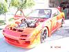 good day for a photo shoot...... what do you think?-dsc01934.jpg