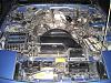 pics of my fc-2.jpg