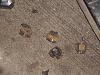 Rear suspension help-whats-left-1.jpg