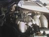 Do you know what this is??-nolans-pictures.jpg