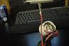 Guage Wiring/Pic Needed-dsc00863.jpg