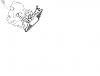 Upper radiator hose-coolant-question.jpg