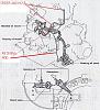 Vacuum Hoses Question???-spiderandhose.jpg