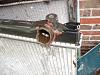 plastic top radiators, worth a fix?-3rd-gen-radiator.jpg