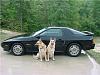 Possibly the lowest milage A.E. Pics-mvc-pups.jpg