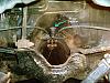 Pinnion snubber install question-n1qjro.jpg