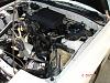 For U Forum member-dsc00696.jpg