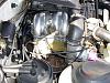 For U Forum member-dsc00703.jpg