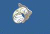Seriously trying to make an FC3S Specific CAI There's Pictures TOO!-cai-v1-angle-2.gif